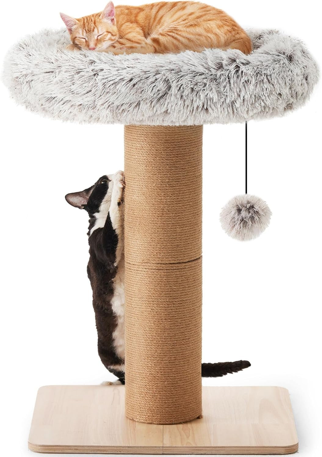 Cat Scratching Post With Plush Bed Solid Wood Jute Rope Indoor Cats