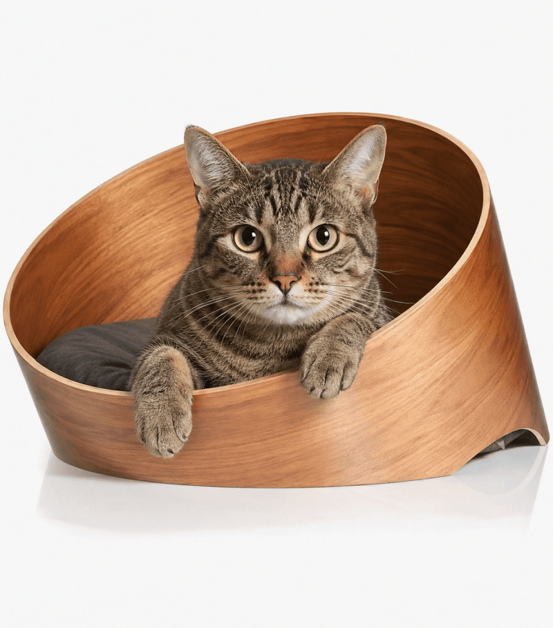 Cat Beds - Kwikley
