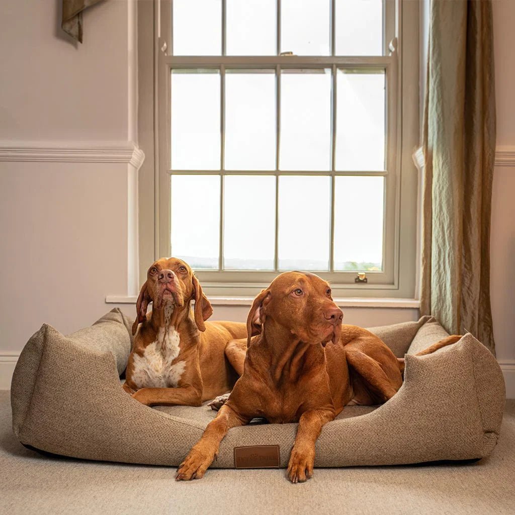 Dog Beds - Kwikley