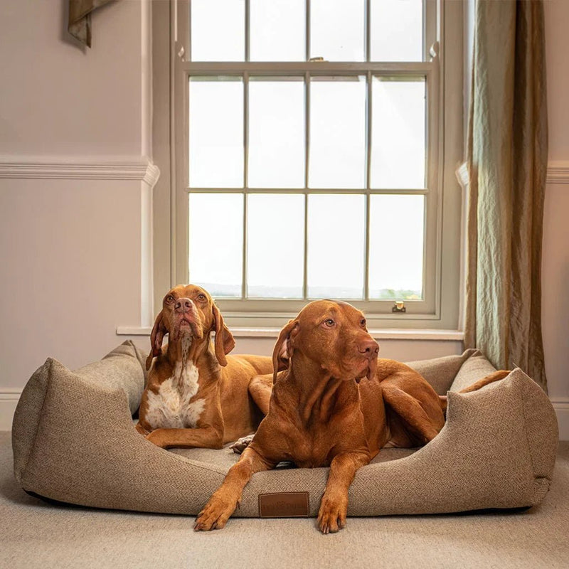 Dog Beds - Kwikley
