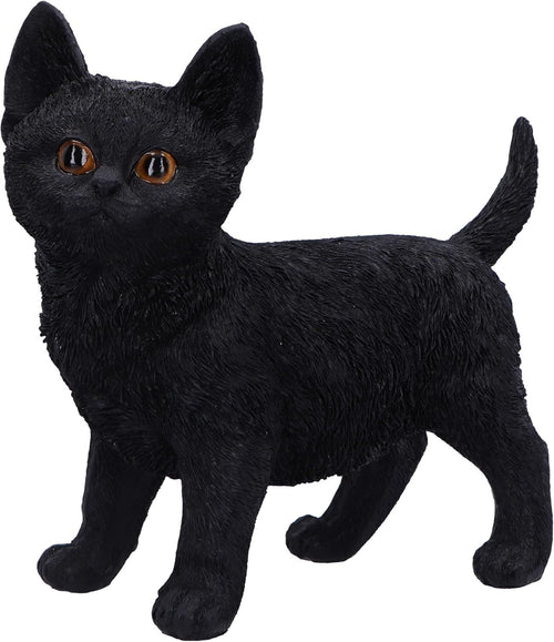 Black Cat Figurine 20cm • Resin Cat Ornament • Playful Kitten Home Decor Gift