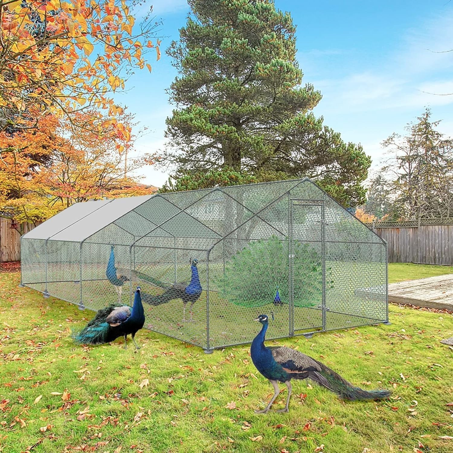 Extra Long Walk In Chicken Run 3x8x2m Galvanised Steel Outdoor Enclosure