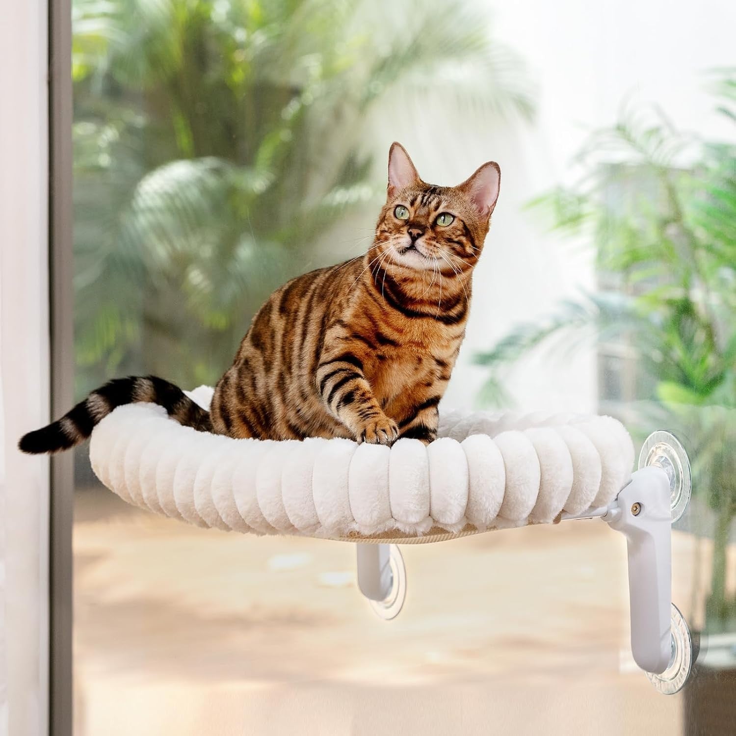 Cat Window Perch Bed Foldable Suction Cup Hammock Washable Cushion