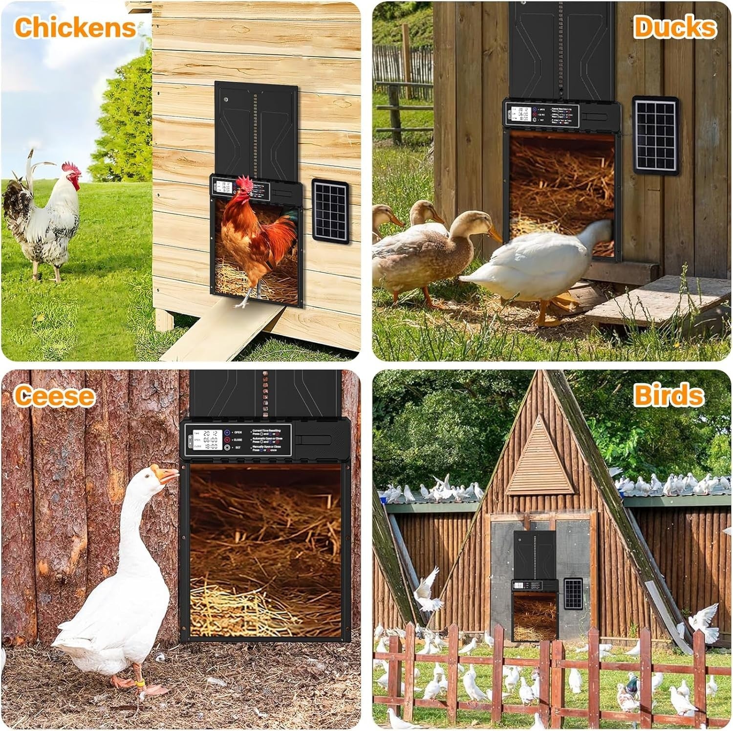 Solar Automatic Chicken Coop Door Timer Remote LCD Waterproof