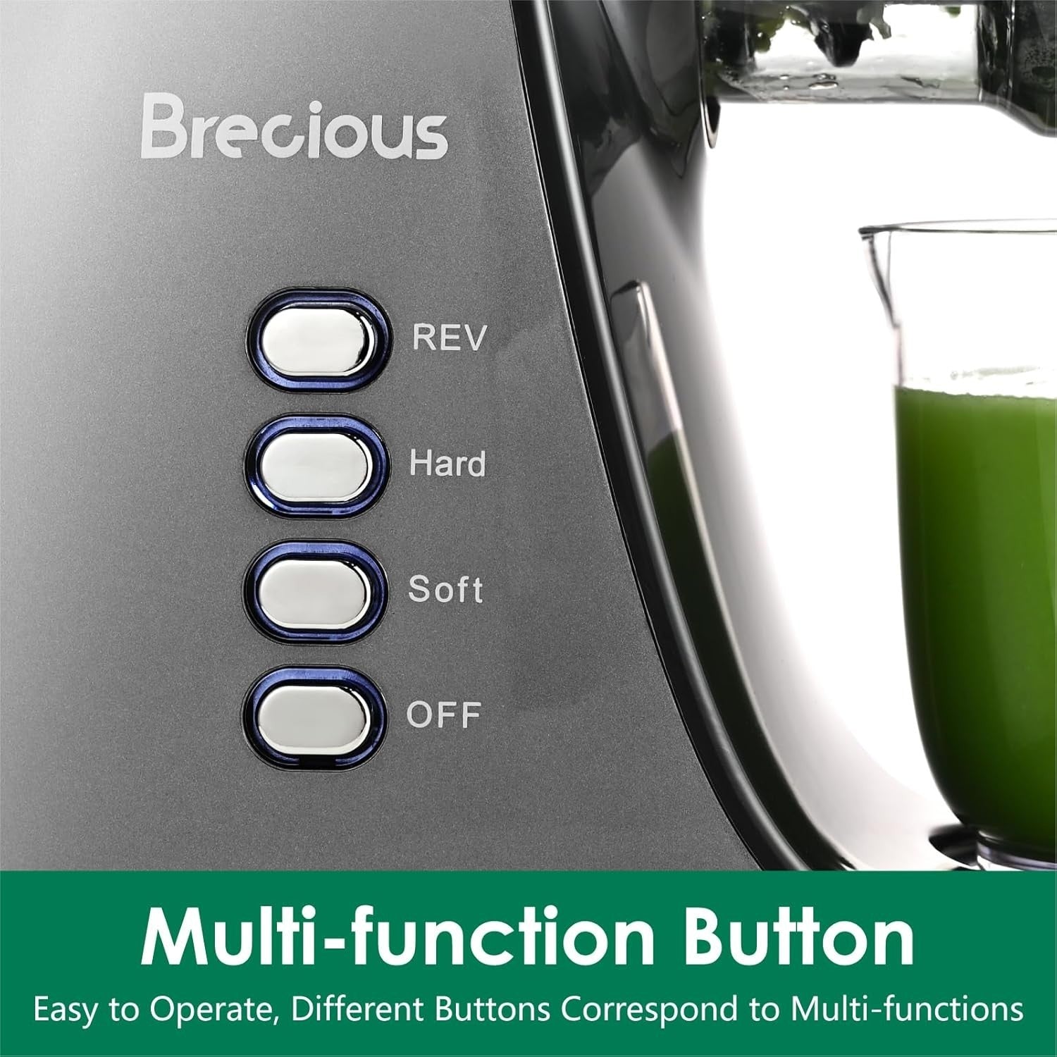 Cold Press Juicer Slow Masticating 2 Speed Quiet Reverse BPA Free