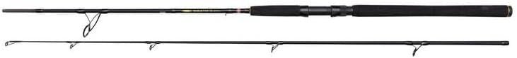 10ft Saltwater Spinning Rod – Fast Action Carbon Graphite Lure Fishing