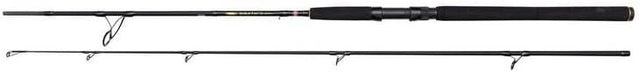 10ft Saltwater Spinning Rod – Fast Action Carbon Graphite Lure Fishing