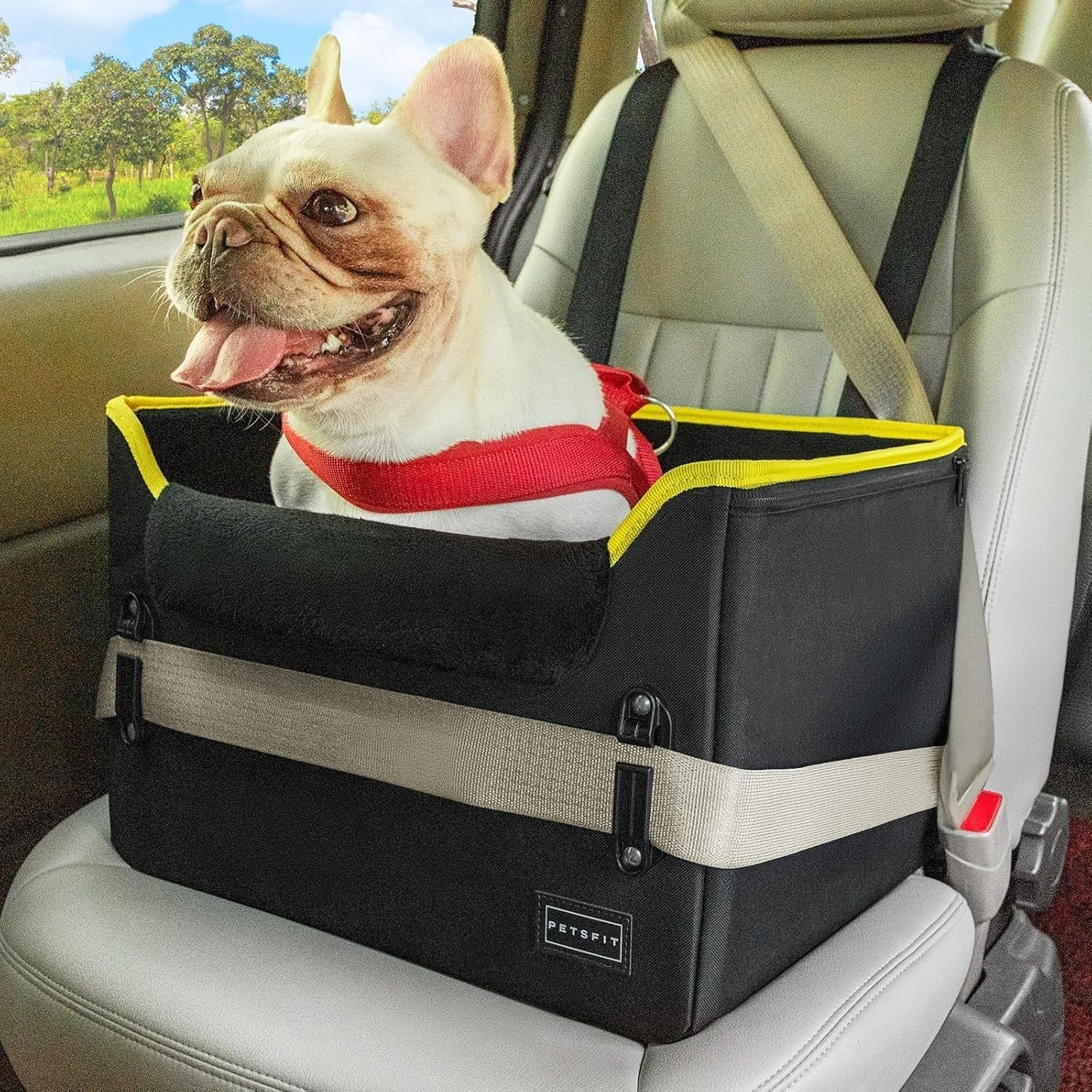 Small Dog Booster Car Seat Adjustable Height Travel Bed Safety Leash