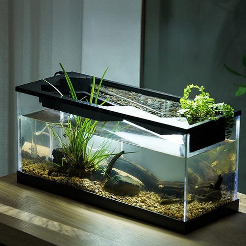 11.6L Desktop Acrylic Fish Tank with Pump, Light & Ecological Filter