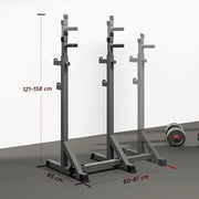 Adjustable Squat Rack & Dip Station Heavy Duty Barbell Rack Home Gym