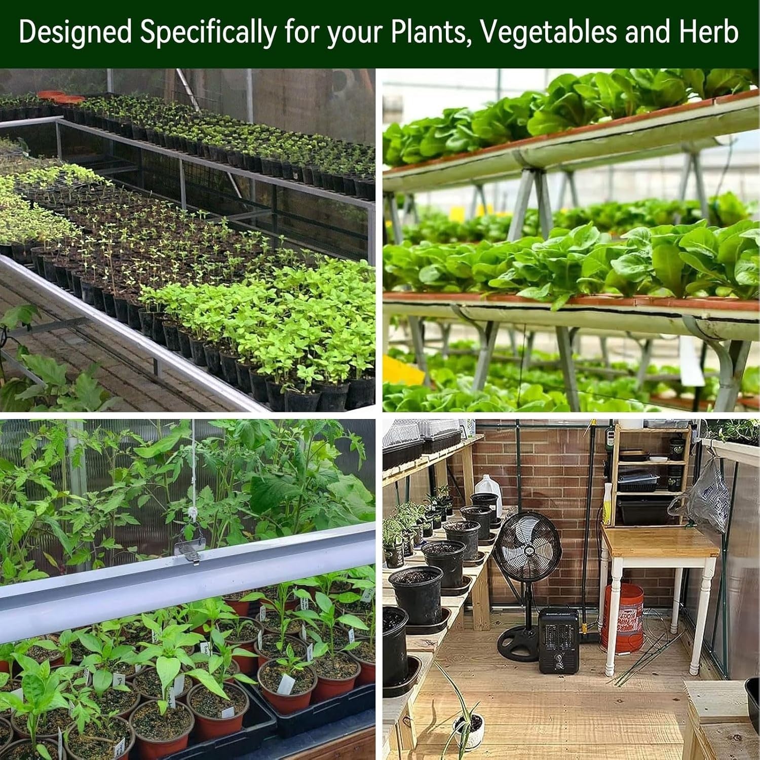 10x6ft Polycarbonate Greenhouse | Aluminium Frame Walk-In Garden Grow Tent