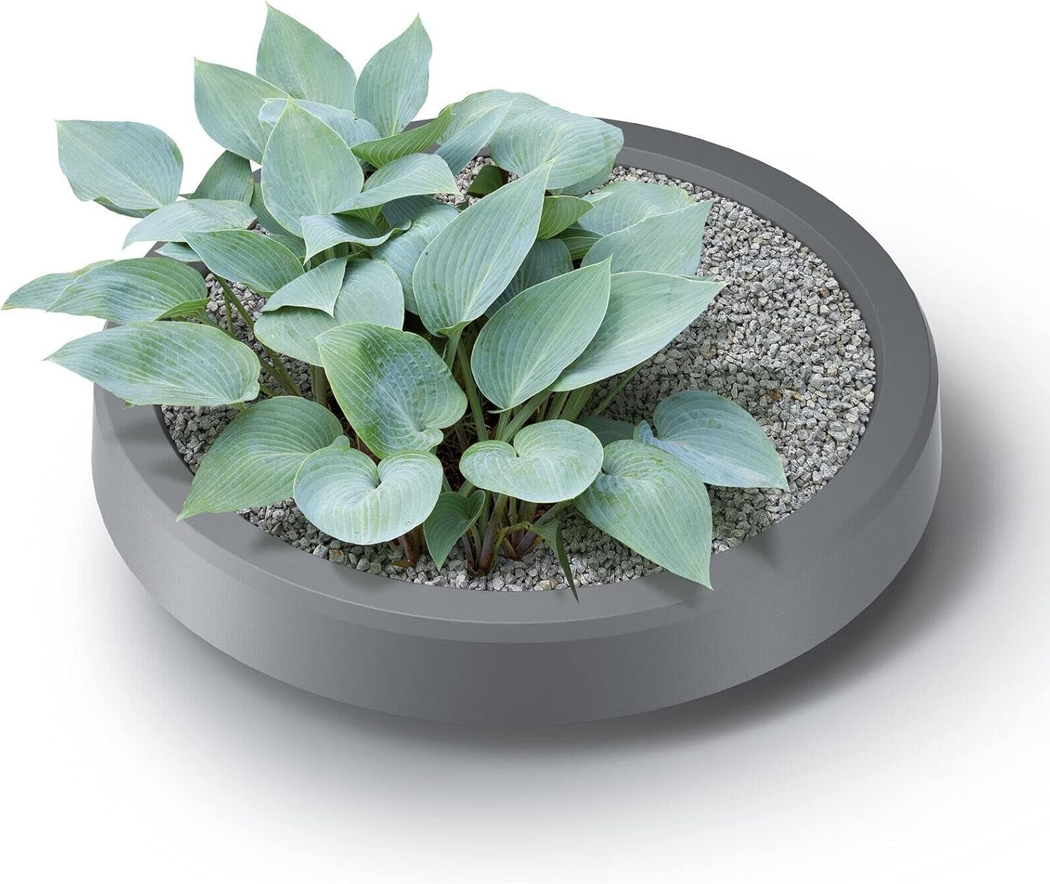 240L Grey Garden Water Butt with Connections & Plant Insert