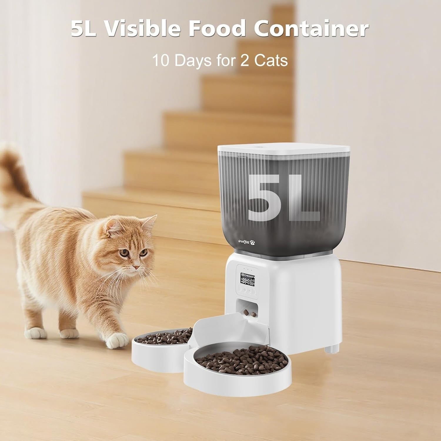 Automatic Cat Feeder 5L Dry Food Dispenser Timer 6 Meals Portion Control
