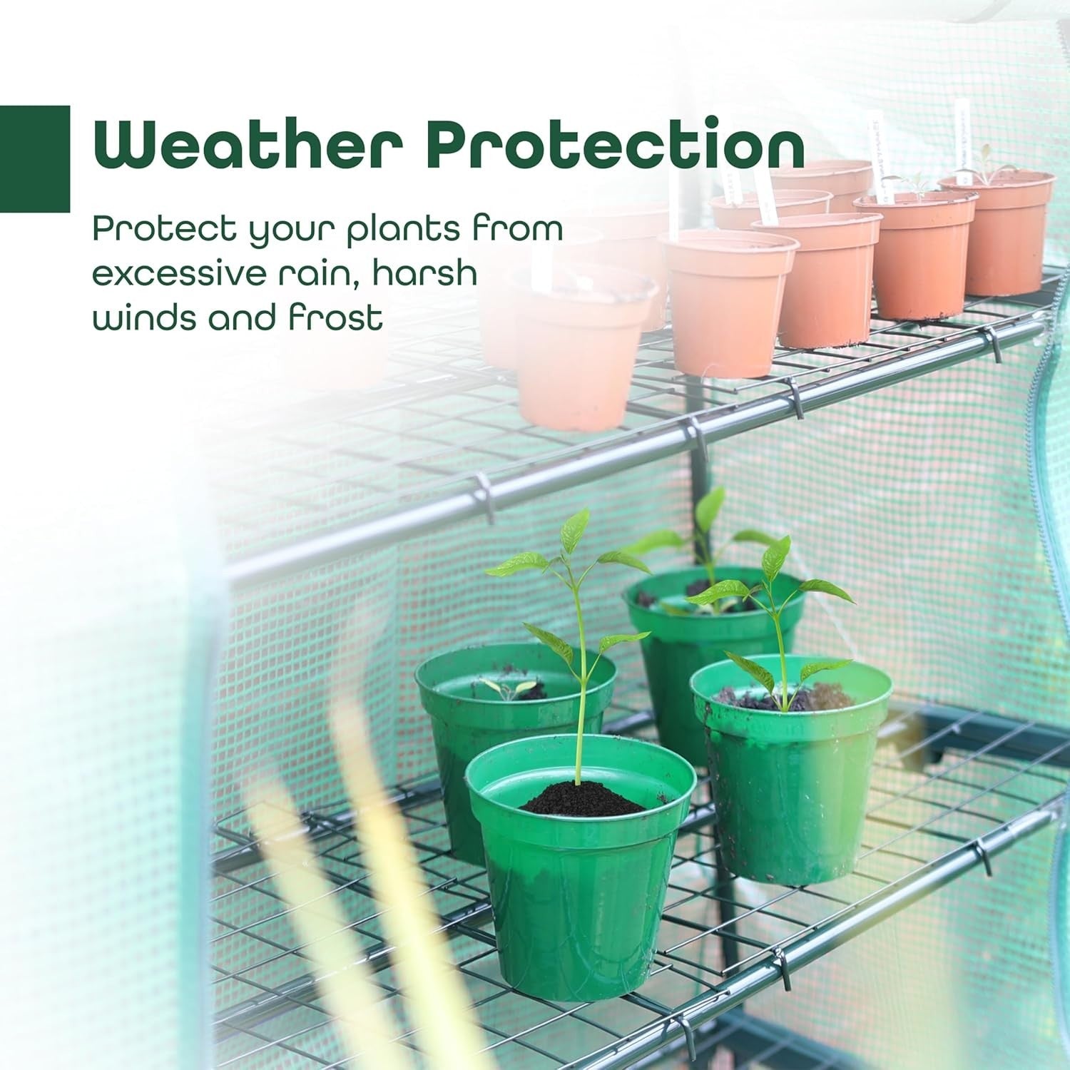 4-Tier Wide Greenhouse | Weatherproof PVC Cover | Roll-Up Door | Steel Frame