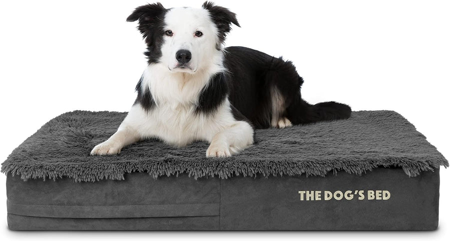 Large Orthopedic Memory Foam Dog Bed 101x64x15cm Waterproof