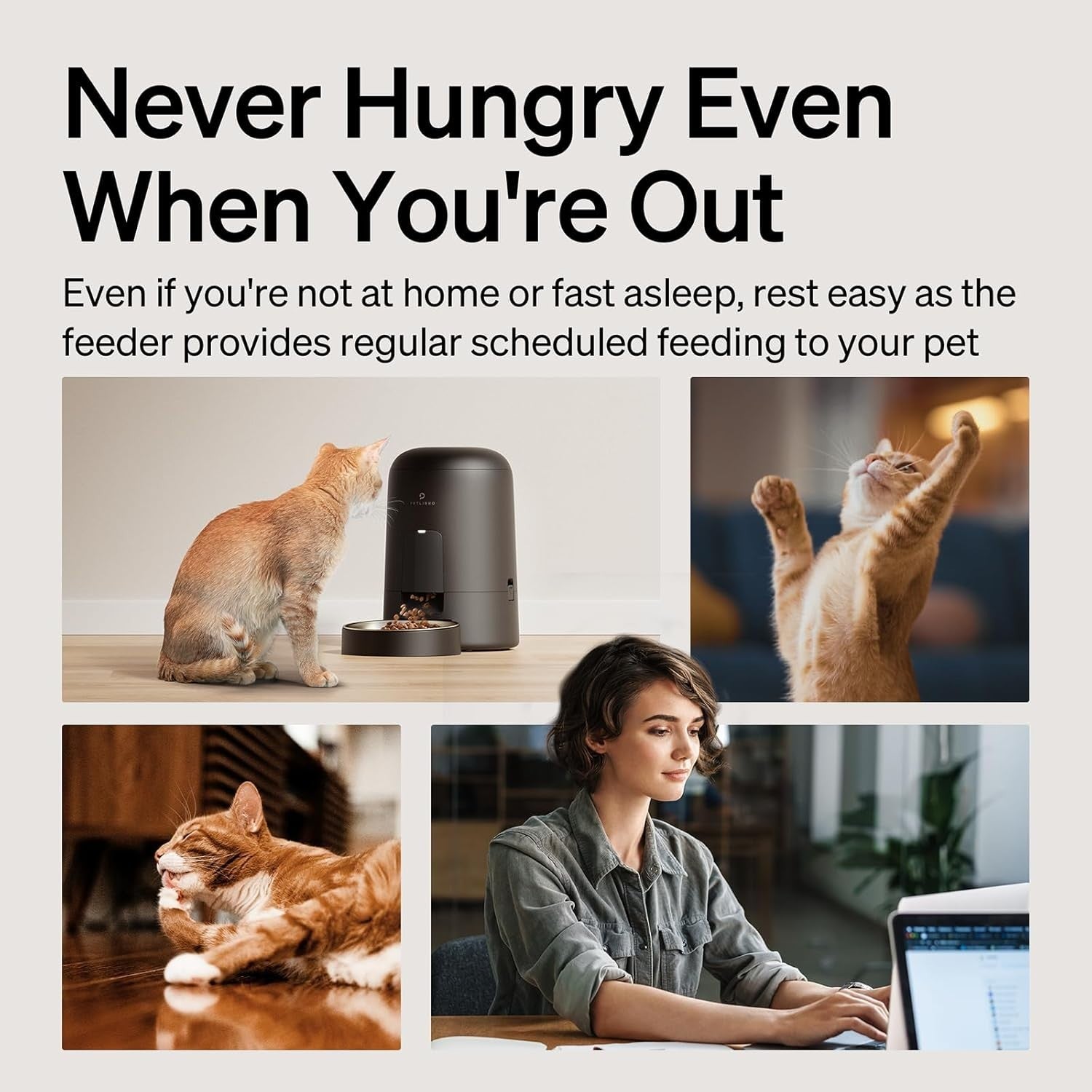 Automatic Cat Feeder Timer 180 Day Battery Life 6 Meal Food Dispenser