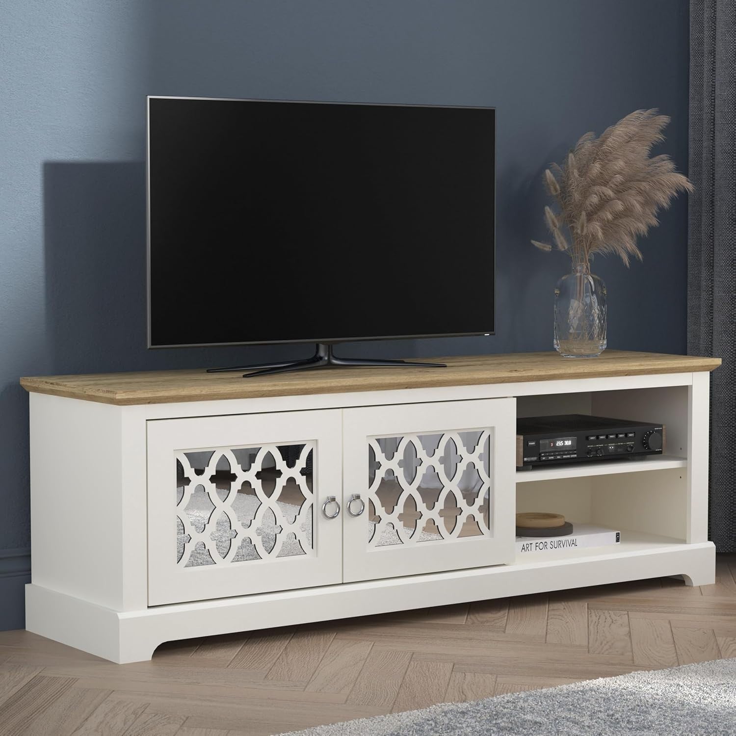 TV Unit for 65 Inch TV Cabinet with Doors Storage Shelf Media Console
