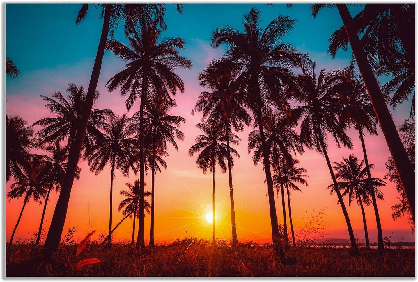 Palm Tree Beach Sunset Canvas Wall Art Tropical Coastal Home Decor Print 24x16