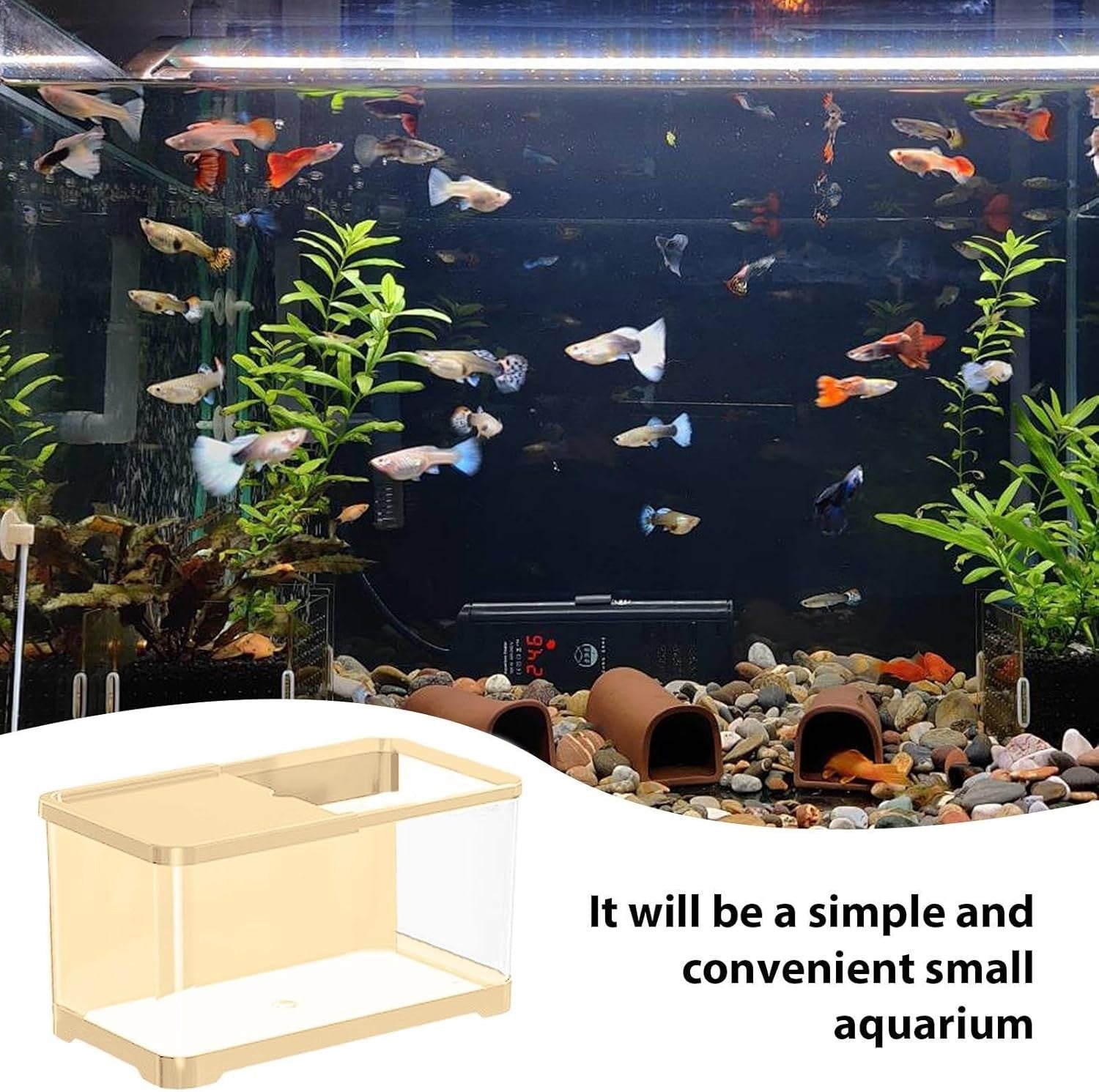 Small Decorative Fish Tank Kit | Saltwater & Freshwater Aquarium Set