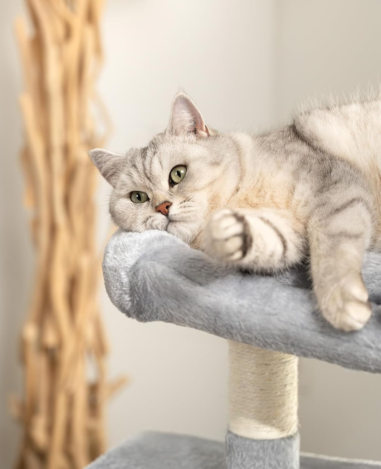 Cat Tree with 2 Condos Scratching Posts Plush Bed 80cm Light Grey