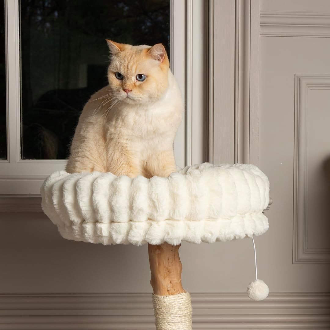 Luxury Cat Scratching Tree with Plush Bed Natural Wood Sisal Post Indoor