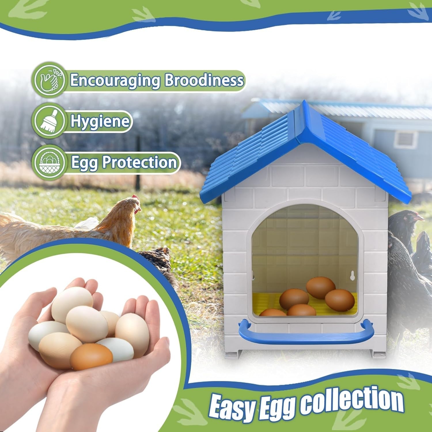 Large Plastic Chicken Nesting Box 1 Pack Easy Clean Wall Mounted