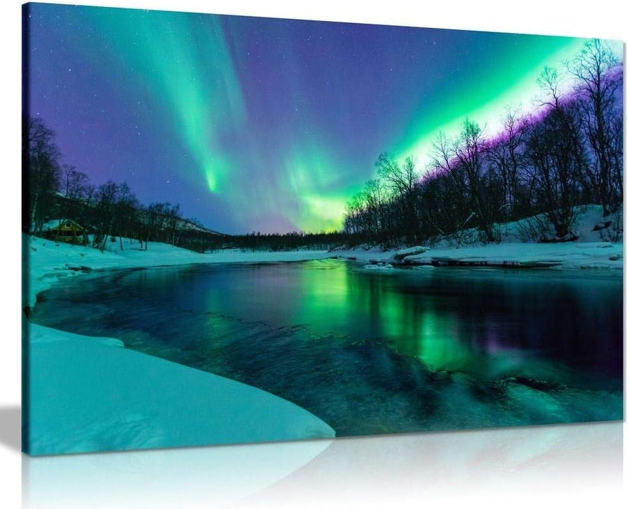 Panther Canvas Wall Art 18x12in Northern Lights Aurora Borealis Framed