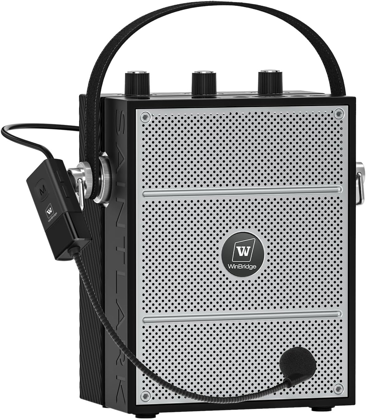 40W Bluetooth 5.3 Voice Amplifier Wireless Mic PA System 15M