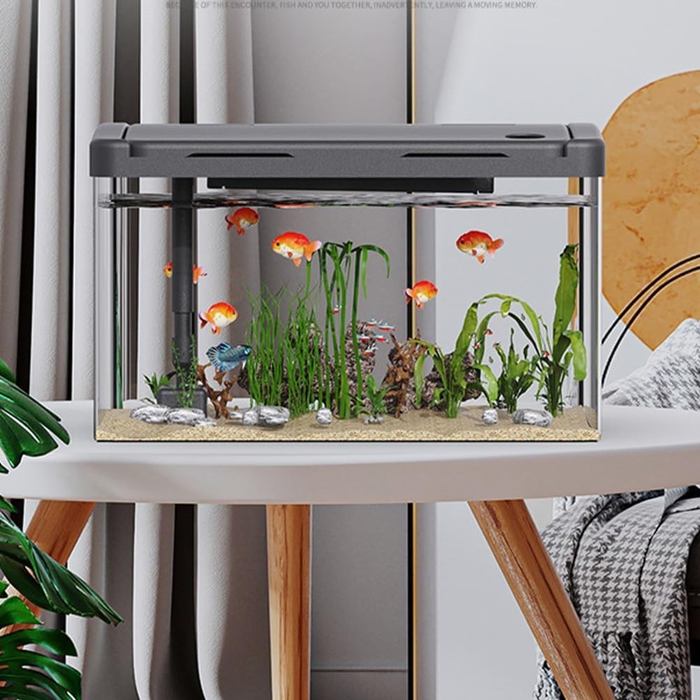 12L Acrylic Fish Tank with LED Light Filter Oxygen Pump Mini Aquarium