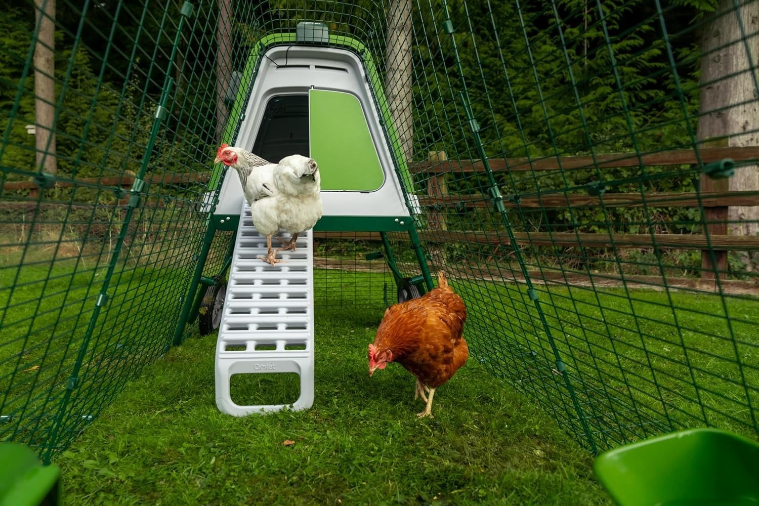 Raised Plastic Chicken Coop with 2m Run Weatherproof 4 Hens