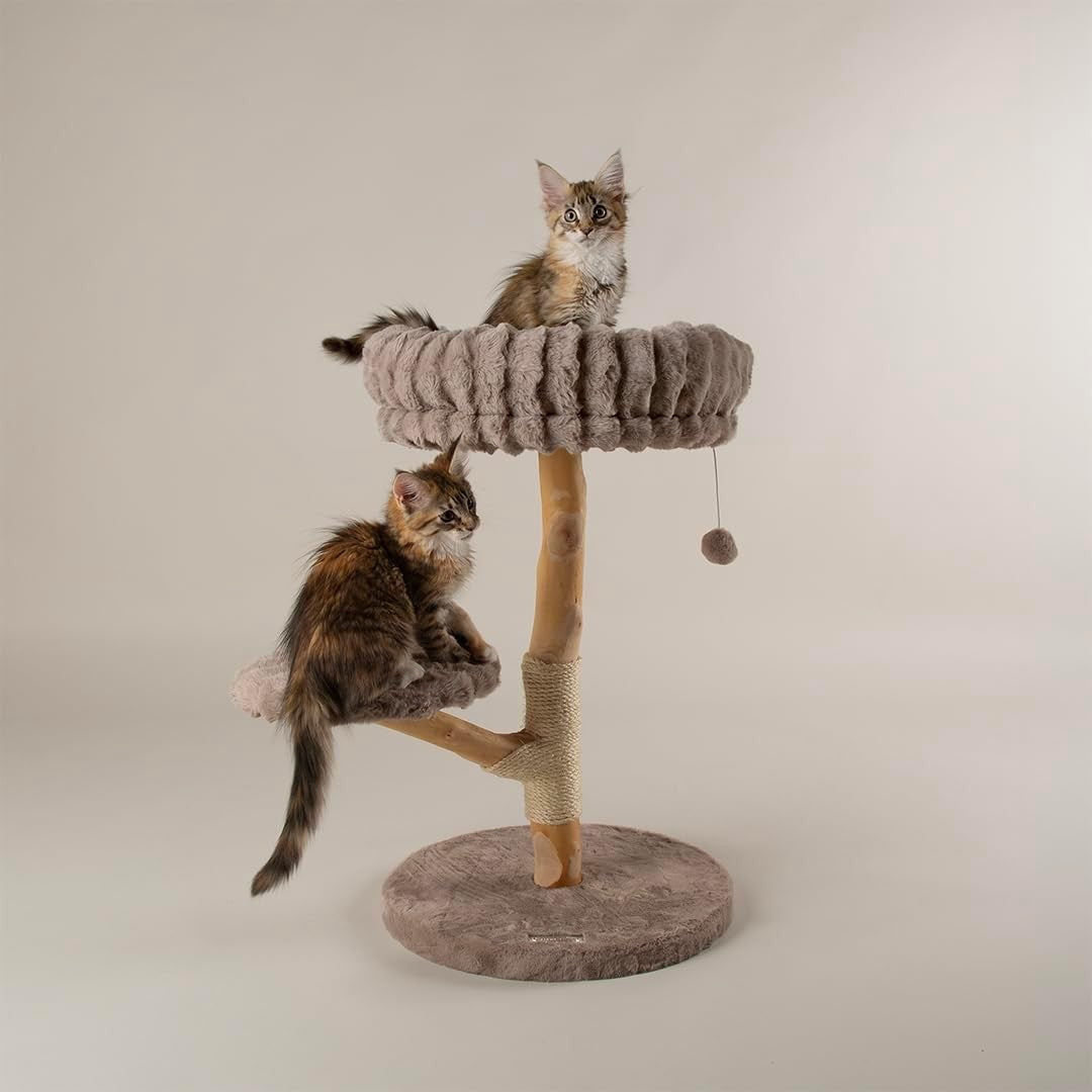 Luxury Cat Scratching Tree Plush Bed Sisal Post Compact Climbing Tower