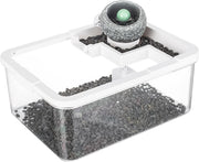 Small Desktop Fish Tank with Filter & LED Light for Shrimp, Jellyfish