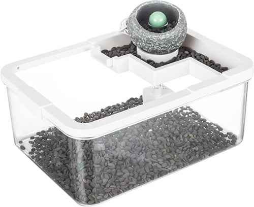 Small Desktop Fish Tank with Filter & LED Light for Shrimp, Jellyfish
