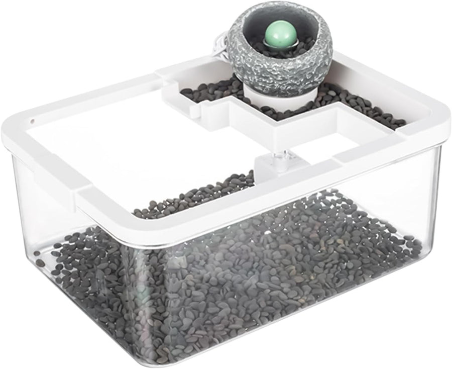 Small Desktop Fish Tank with Filter & LED Light for Shrimp, Jellyfish