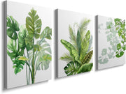 Green Botanical Wall Art Set 3 Framed Canvas 12x16in