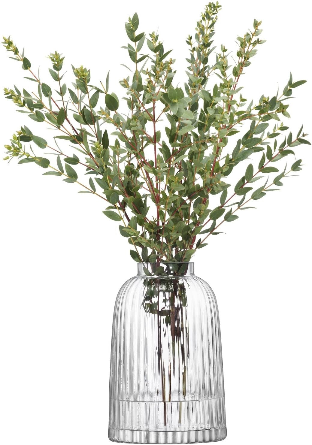 Clear Pleated Glass Vase 20cm Tall Modern Flower Vase Minimal Home Decor