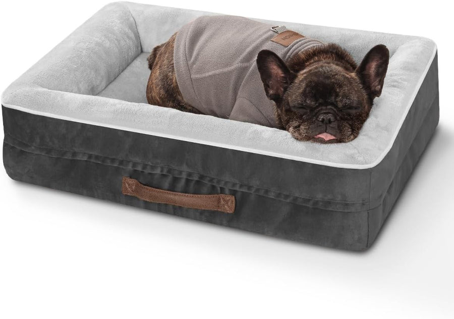 Orthopedic Cat & Small Dog Bed 61x46cm Waterproof Sofa