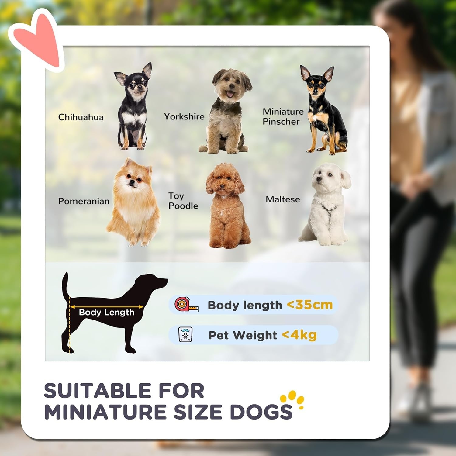 3 in 1 Pet Stroller Dog Cat Pushchair Detachable Carrier Foldable Travel