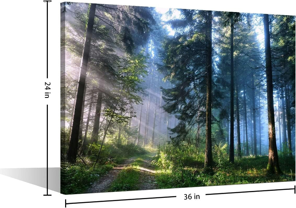 Green Forest Sunrise Canvas Wall Art 24x36in Nature