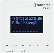 Mini Wall Stereo Amplifier 30W Bluetooth USB MicroSD FM Tuner Player