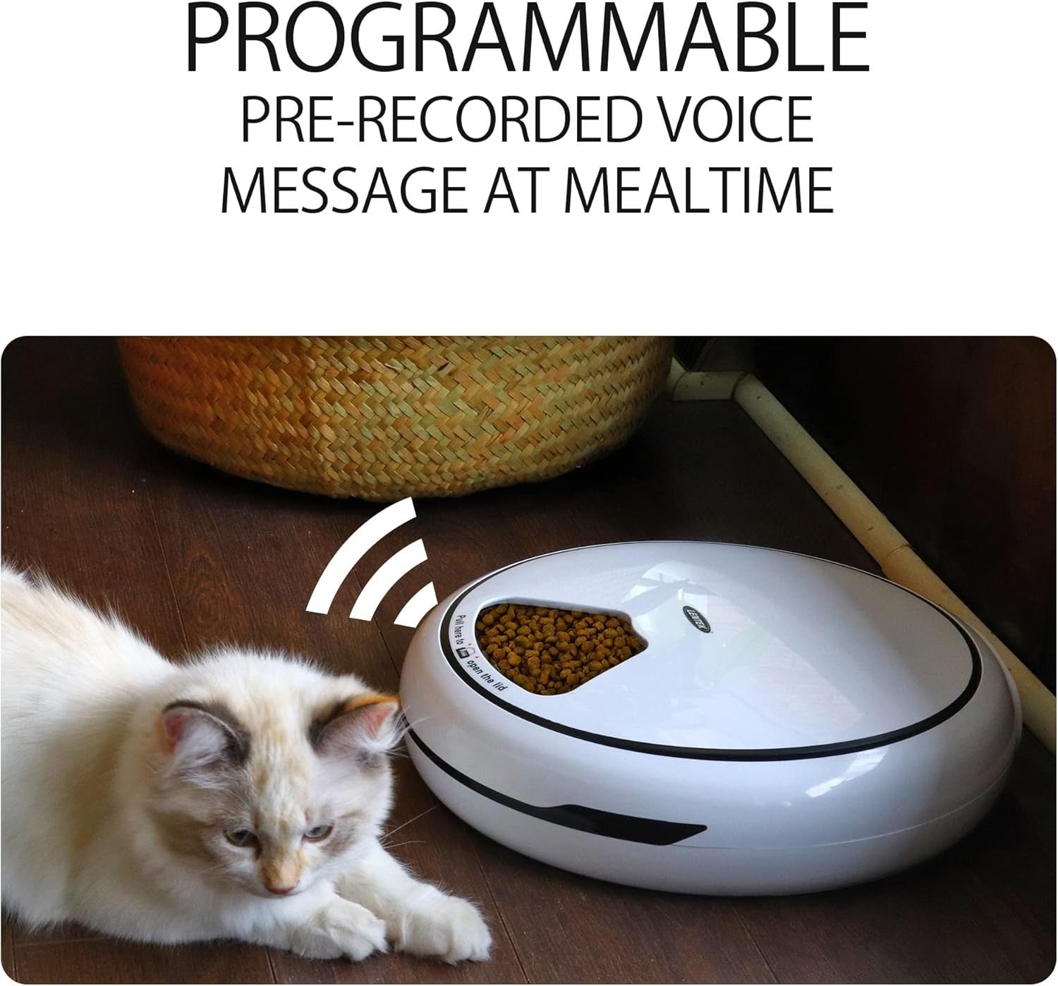 Smart Automatic Pet Feeder 5 Meal WiFi Camera Voice Control Bowl