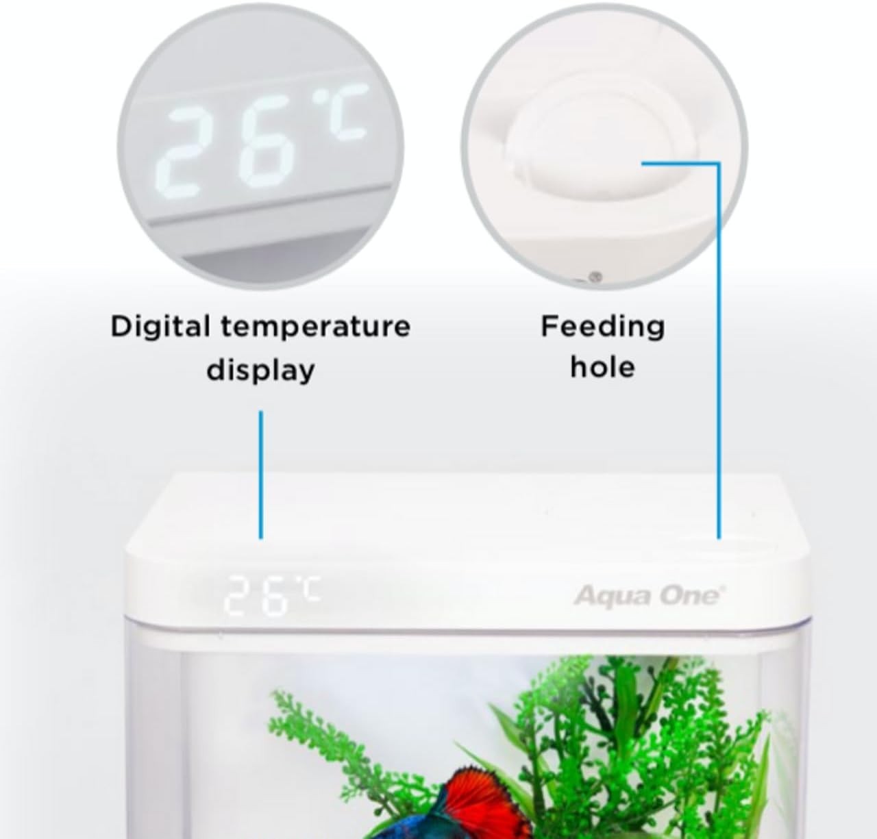9.7L Acrylic Betta Tank with Built-In Filter, LED Light & Thermometer
