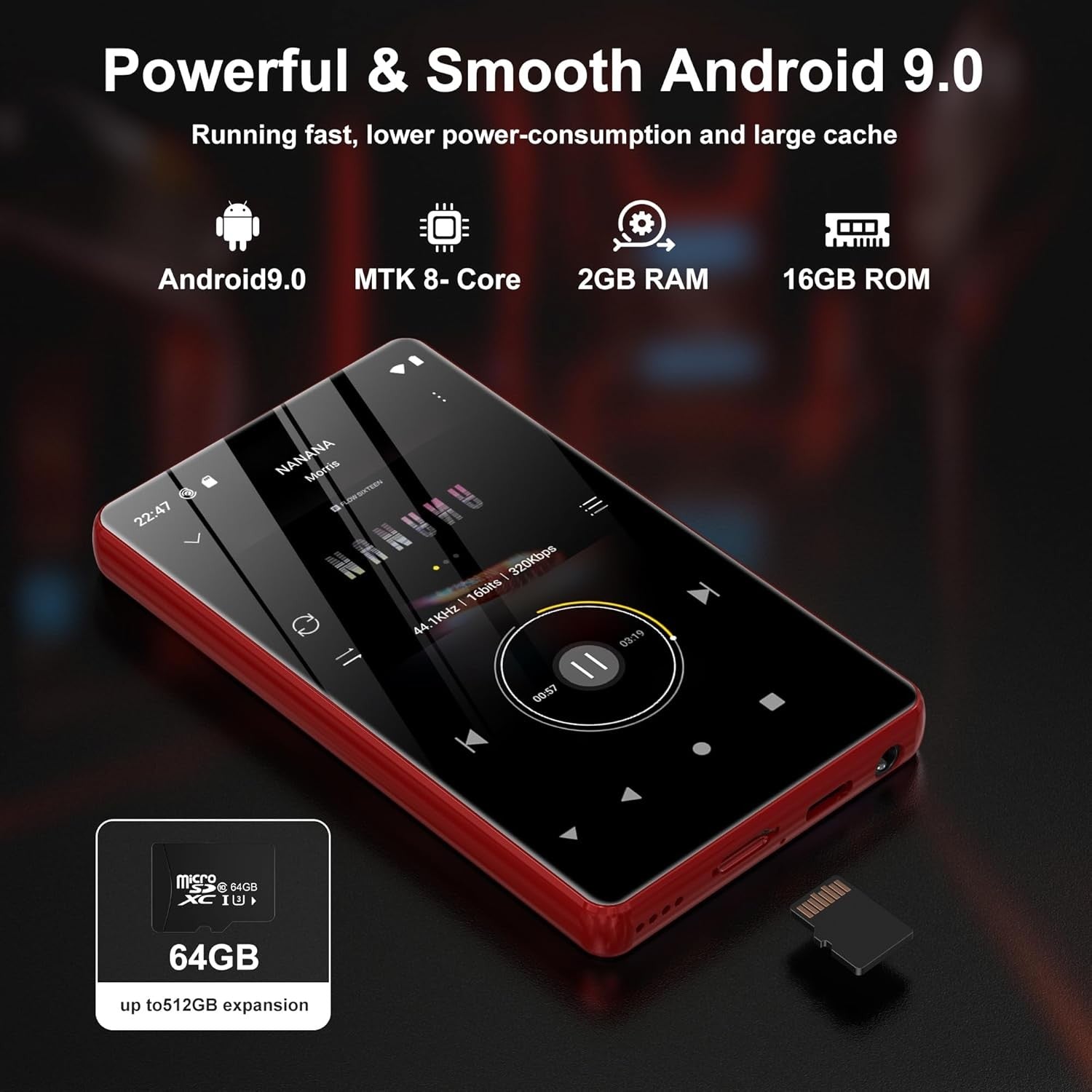 80GB MP3 Player with Bluetooth and WiFi-SWOFY 4" HD Full Touch Screen MP3 Player