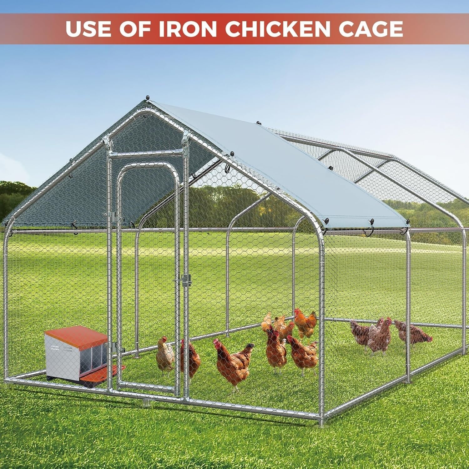 3 Chamber Galvanised Steel Chicken Nest Box Pull-Out Tray