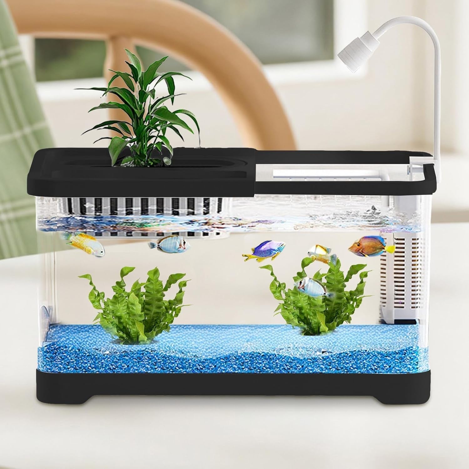 Small Betta Fish Tank with Hydroponic Basket | Desktop Aquarium Kit