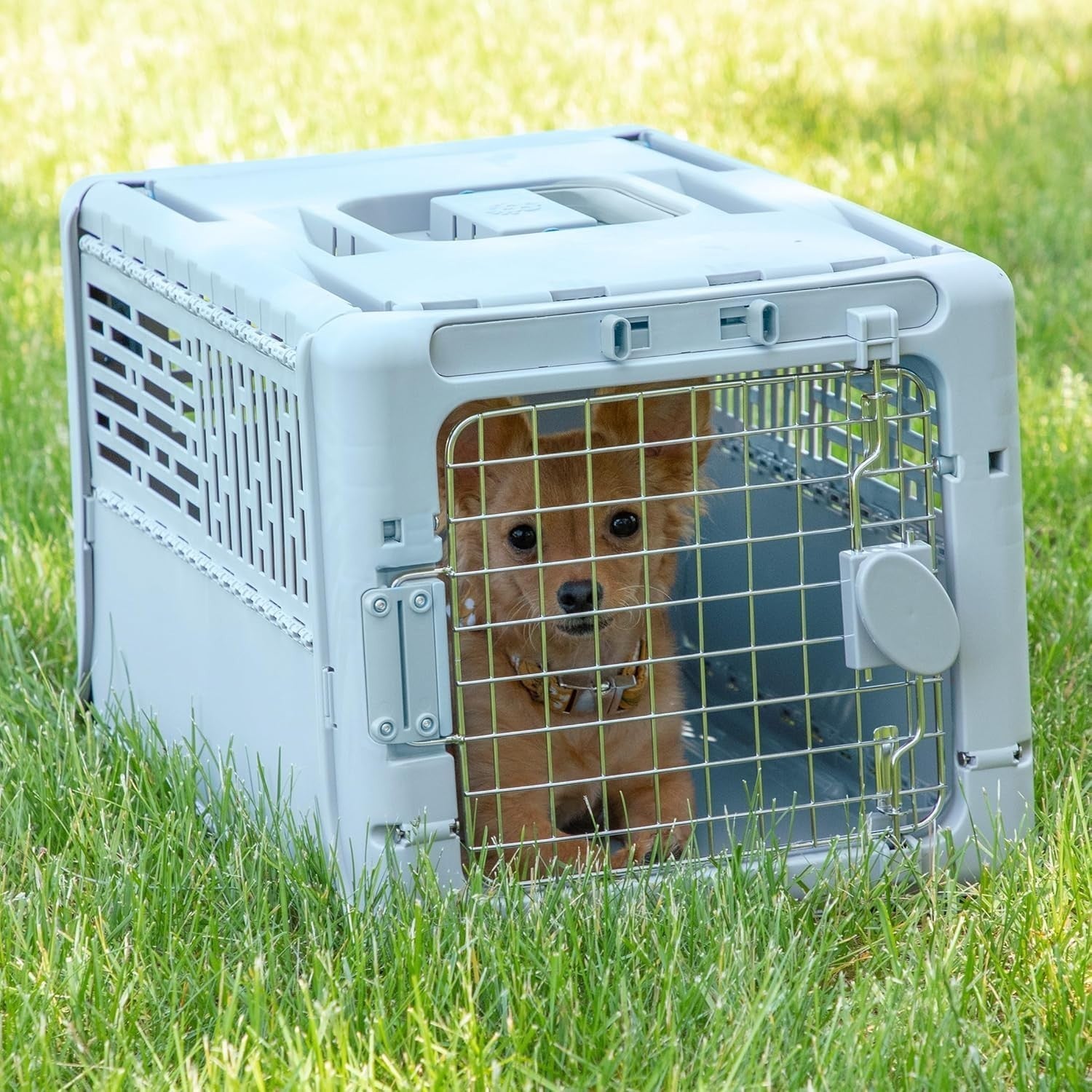 Small Collapsible Pet Kennel 19" Lightweight Portable Crate with Locking Metal