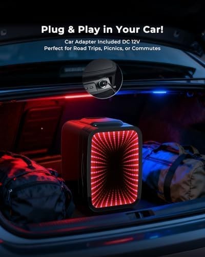 4L Mini Fridge Cooler & Warmer Portable LED AC/DC for Bedroom Car