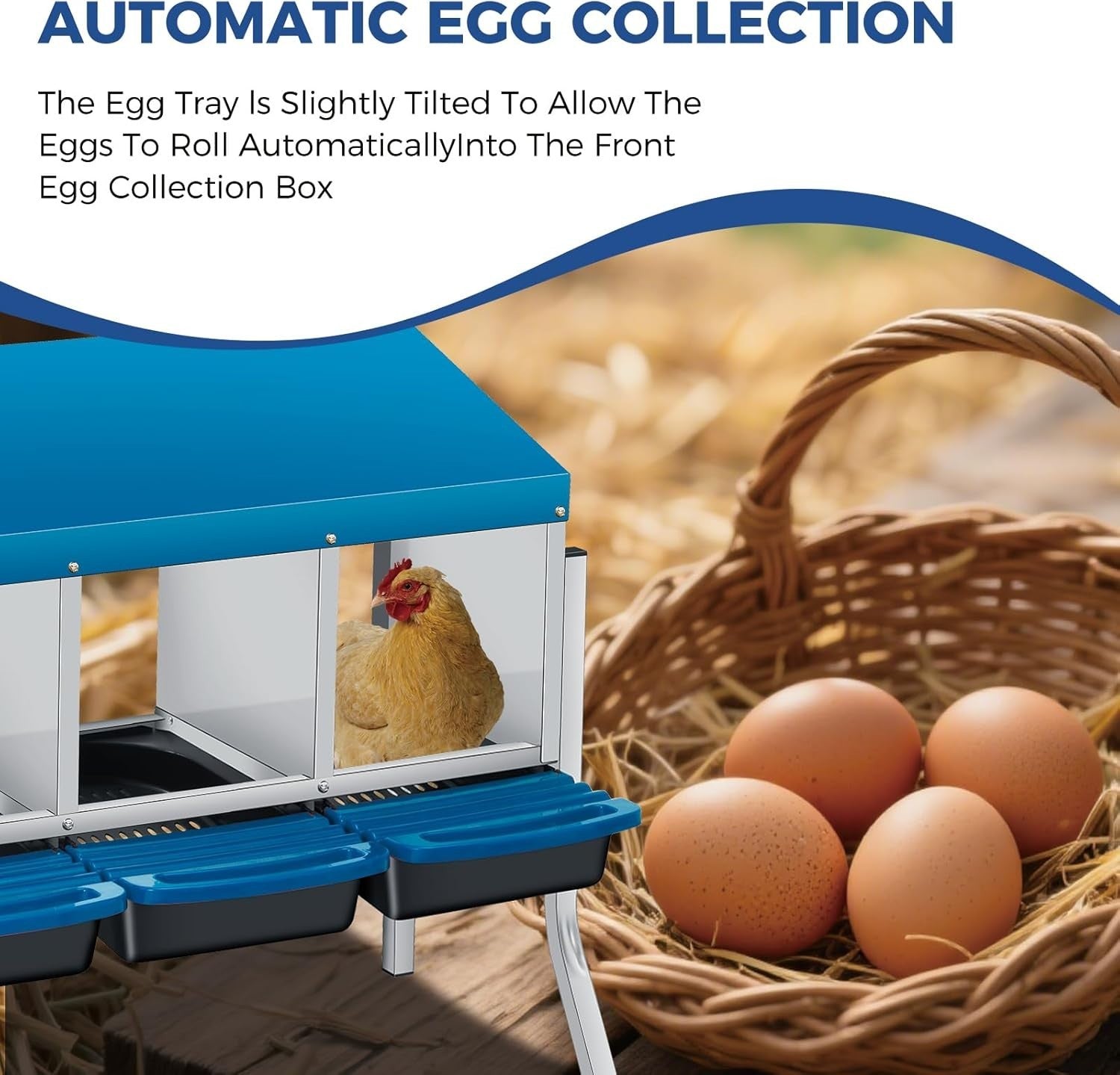 4 Chamber Steel Chicken Nesting Box with Stand Pull Out Tray