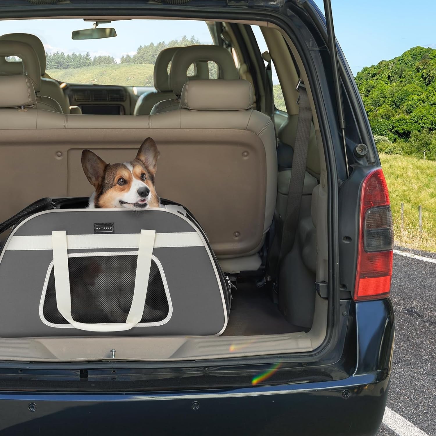 Rolling Pet Carrier with Wheels for Small Dogs & Cats, Portable Travel