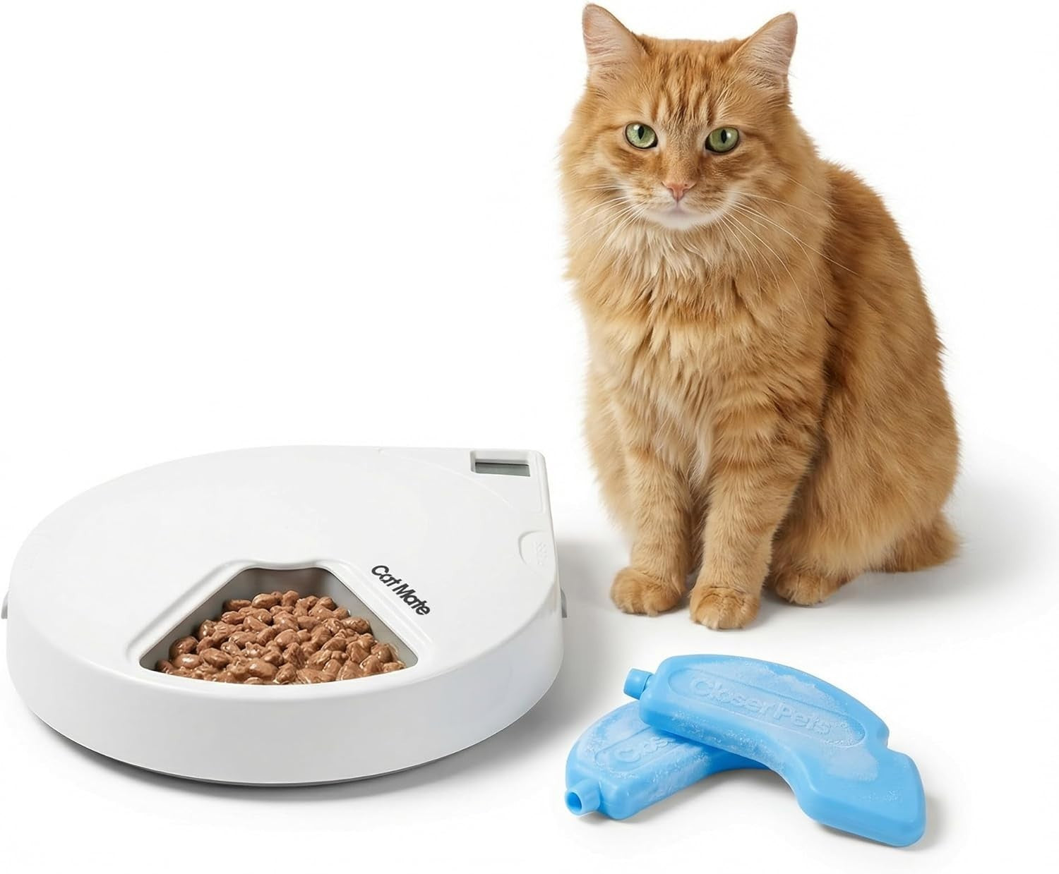 Automatic Pet Feeder 5 Meal Digital Timer Wet Dry Food Cat Dog